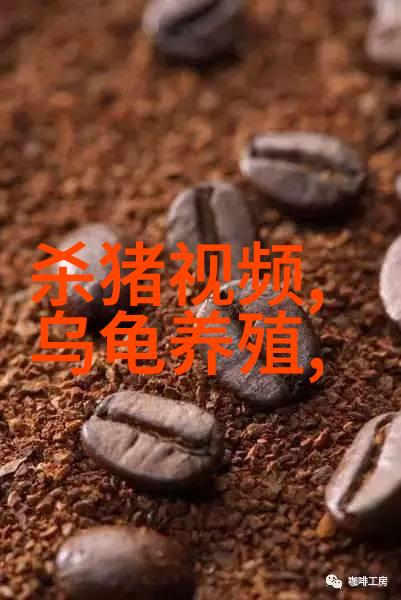 旧冰箱拆成可再生材料只要十分钟