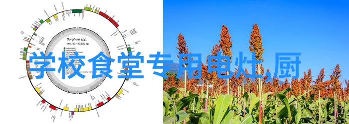 亿田厨房装修小课堂开学啦