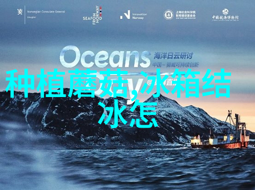 TCL智家董事长胡殿谦辞职 将继续担任广东奥马冰箱董事职务