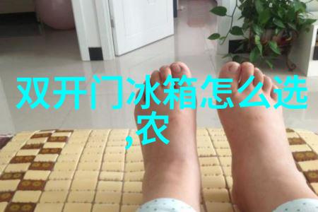 西门子两门冰箱 京东返100元电子京券