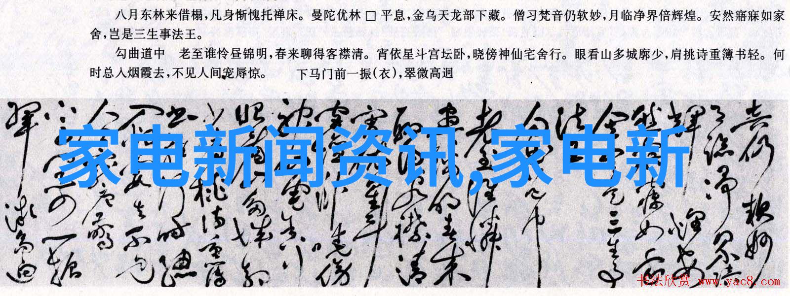 搭建合作桥梁 共谋发展新篇章 2024国际消费电子上市公司企业家青岛行活动举行