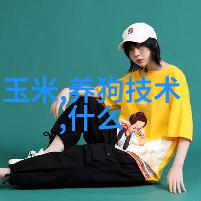 海尔冰箱获年度产品创新奖互联网思维制胜