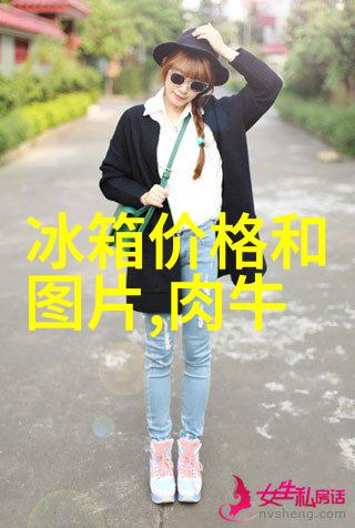 西门子节能设计 两门冰箱大中热卖中